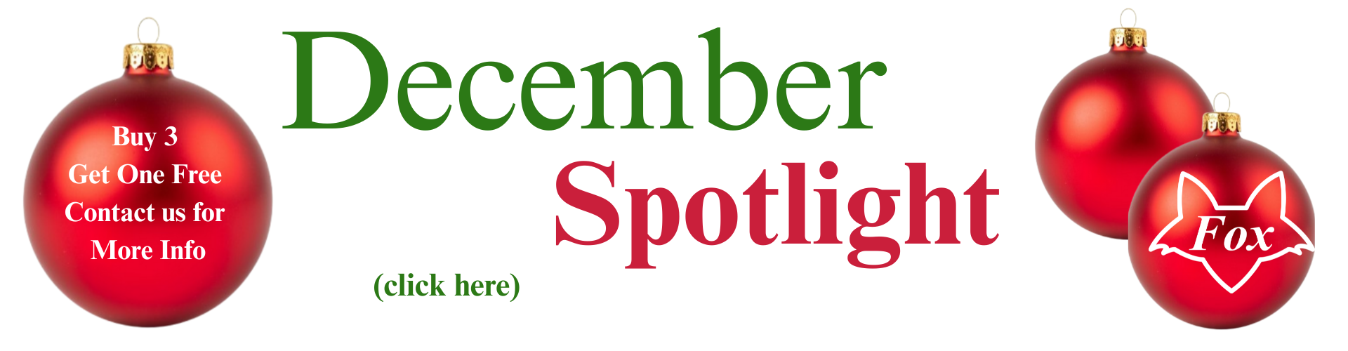 December Spotlight